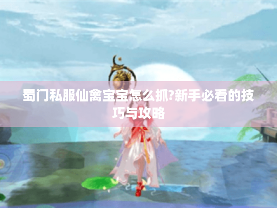 蜀门私服仙禽宝宝怎么抓?新手必看的技巧与攻略 蜀门私服仙禽宝宝怎么抓?新手必看的技巧与攻略