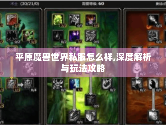 平原魔兽世界私服怎么样,深度解析与玩法攻略 平原魔兽世界私服怎么样,深度解析与玩法攻略