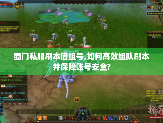 蜀门私服刷本借组号,如何高效组队刷本并保障账号安全? 蜀门私服刷本借组号,如何高效组队刷本并保障账号安全?