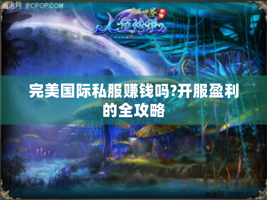 完美国际私服赚钱吗?开服盈利的全攻略 完美国际私服赚钱吗?开服盈利的全攻略