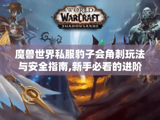 魔兽世界私服豹子会角刺玩法与安全指南,新手必看的进阶攻略 魔兽世界私服豹子会角刺玩法与安全指南,新手必看的进阶攻略