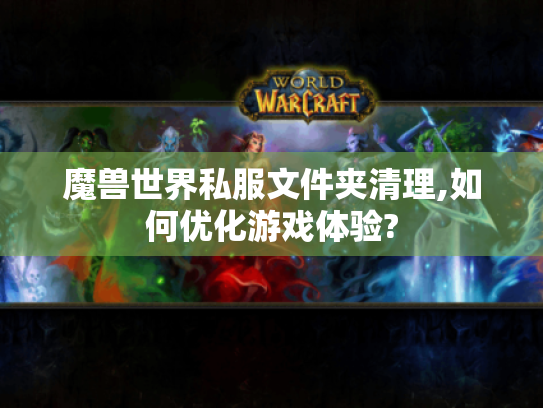魔兽世界私服文件夹清理,如何优化游戏体验?