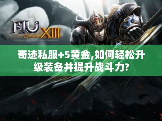 奇迹私服+5黄金,如何轻松升级装备并提升战斗力? 奇迹私服+5黄金,如何轻松升级装备并提升战斗力?