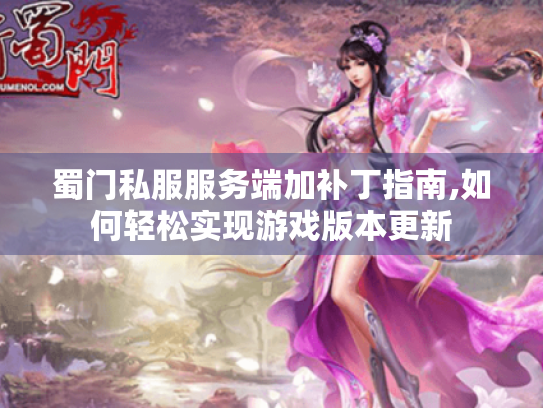 蜀门私服服务端加补丁指南,如何轻松实现游戏版本更新