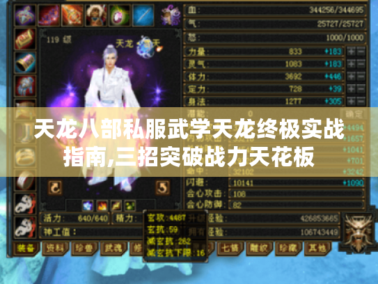 天龙八部私服武学天龙终极实战指南,三招突破战力天花板 天龙八部私服武学天龙终极实战指南,三招突破战力天花板