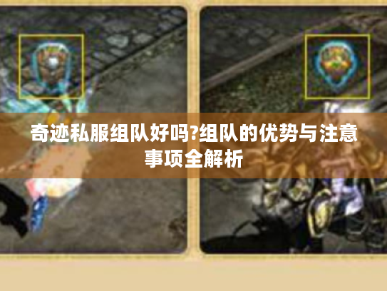 奇迹私服组队好吗?组队的优势与注意事项全解析 奇迹私服组队好吗?组队的优势与注意事项全解析