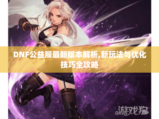 DNF公益服最新版本解析,新玩法与优化技巧全攻略