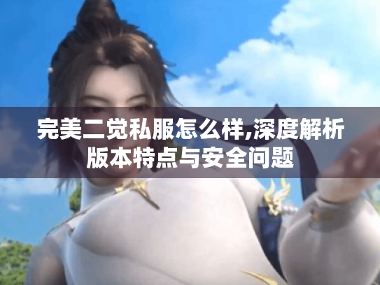 完美二觉私服怎么样,深度解析版本特点与安全问题