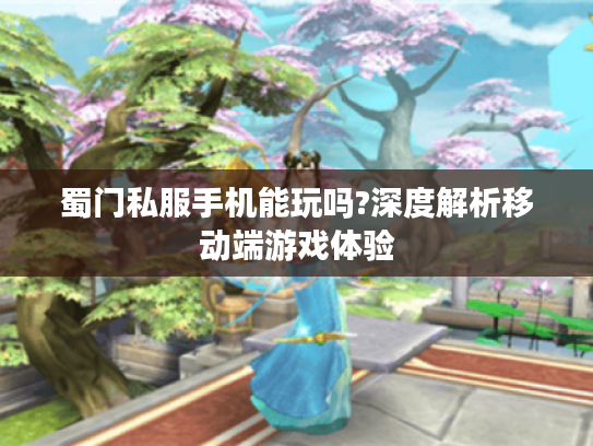 蜀门私服手机能玩吗?深度解析移动端游戏体验