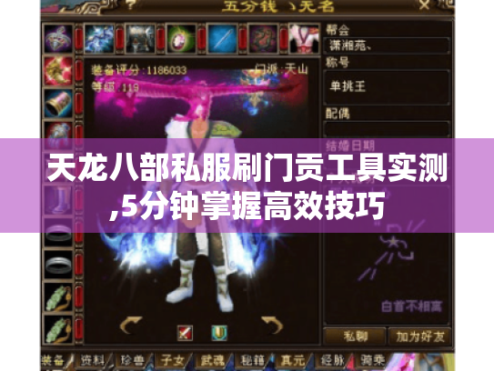 天龙八部私服刷门贡工具实测,5分钟掌握高效技巧 天龙八部私服刷门贡工具实测,5分钟掌握高效技巧