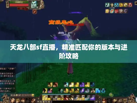 天龙八部sf直播，精准匹配你的版本与进阶攻略