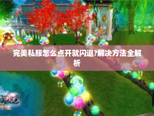 完美私服怎么点开就闪退?解决方法全解析