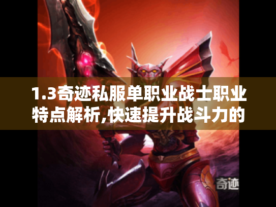 1.3奇迹私服单职业战士职业特点解析,快速提升战斗力的秘籍