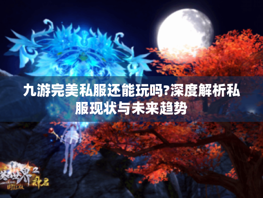 九游完美私服还能玩吗?深度解析私服现状与未来趋势