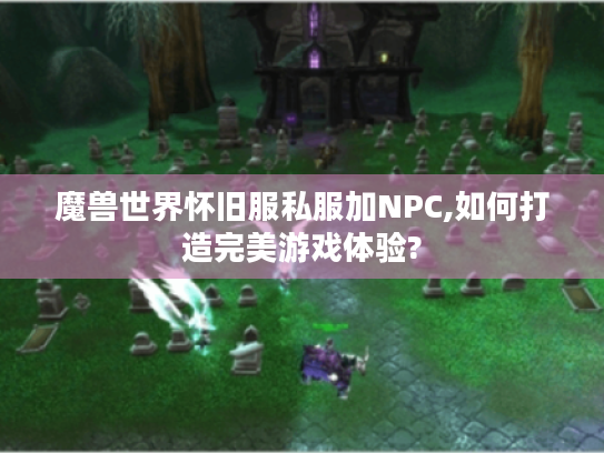 魔兽世界怀旧服私服加NPC,如何打造完美游戏体验?