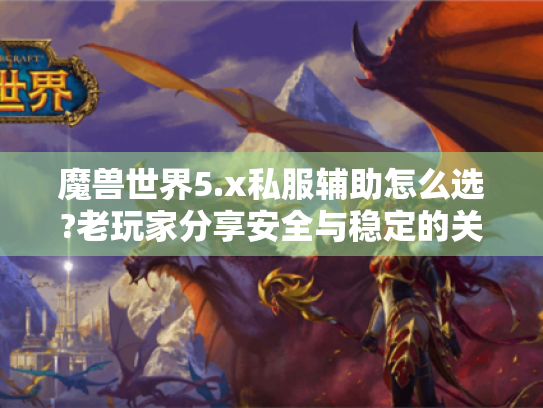 魔兽世界5.x私服辅助怎么选?老玩家分享安全与稳定的关键