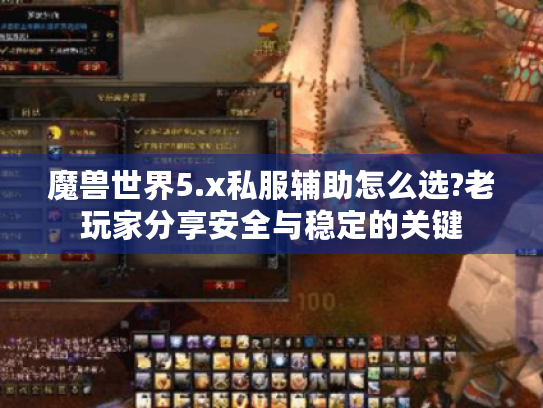 魔兽世界5.x私服辅助怎么选?老玩家分享安全与稳定的关键
