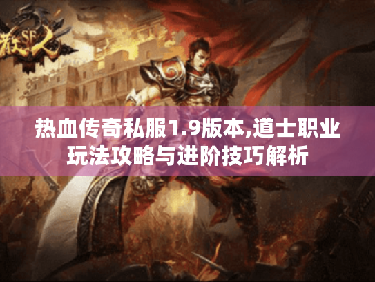 热血传奇私服1.9版本,道士职业玩法攻略与进阶技巧解析