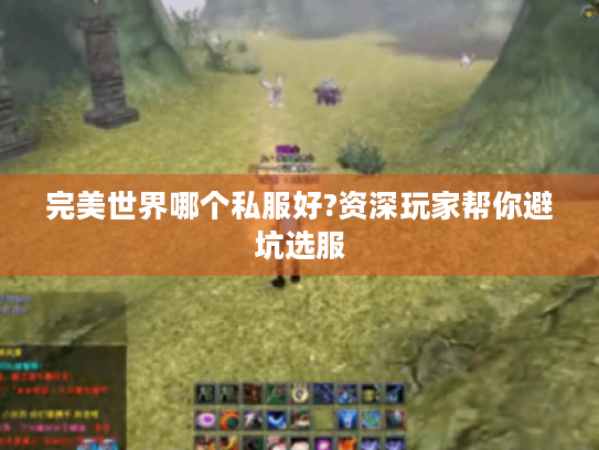 完美世界哪个私服好?资深玩家帮你避坑选服