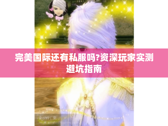 完美国际还有私服吗?资深玩家实测避坑指南 完美国际还有私服吗?资深玩家实测避坑指南