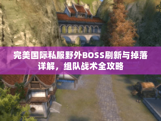 完美国际私服野外BOSS刷新与掉落详解，组队战术全攻略