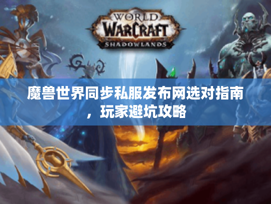 魔兽世界同步私服发布网选对指南，玩家避坑攻略