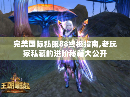 完美国际私服88终极指南,老玩家私藏的进阶秘籍大公开 完美国际私服88终极指南,老玩家私藏的进阶秘籍大公开