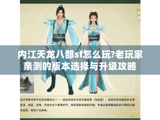 内江天龙八部sf怎么玩?老玩家亲测的版本选择与升级攻略