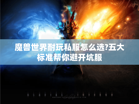 魔兽世界耐玩私服怎么选?五大标准帮你避开坑服