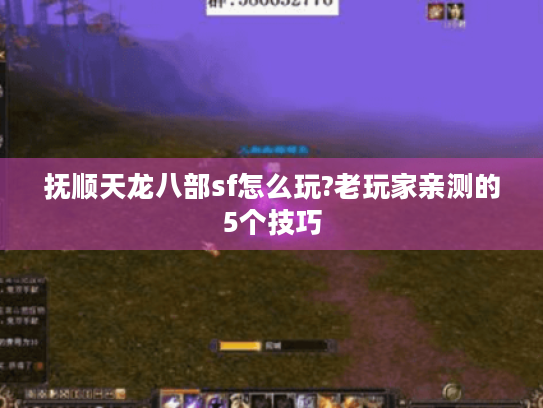抚顺天龙八部sf怎么玩?老玩家亲测的5个技巧 抚顺天龙八部sf怎么玩?老玩家亲测的5个技巧
