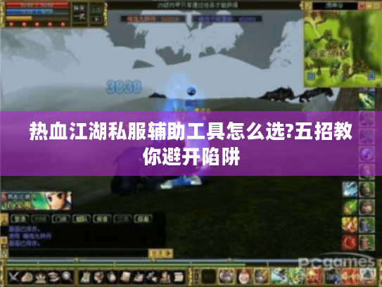 热血江湖私服辅助工具怎么选?五招教你避开陷阱