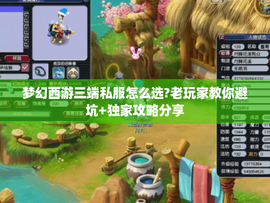 梦幻西游三端私服怎么选?老玩家教你避坑+独家攻略分享