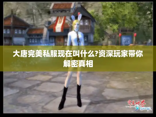 大唐完美私服现在叫什么?资深玩家带你解密真相