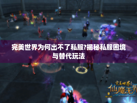 完美世界为何出不了私服?揭秘私服困境与替代玩法 完美世界为何出不了私服?揭秘私服困境与替代玩法
