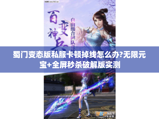 蜀门变态版私服卡顿掉线怎么办?无限元宝+全屏秒杀破解版实测