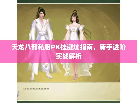 天龙八部私服PK挂避坑指南，新手进阶实战解析