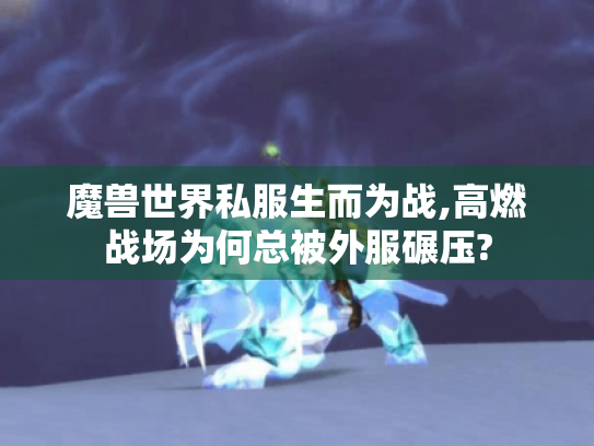 魔兽世界私服生而为战,高燃战场为何总被外服碾压? 魔兽世界私服生而为战,高燃战场为何总被外服碾压?