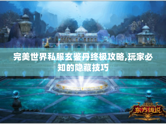 完美世界私服玄鉴丹终极攻略,玩家必知的隐藏技巧