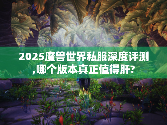 2025魔兽世界私服深度评测,哪个版本真正值得肝?