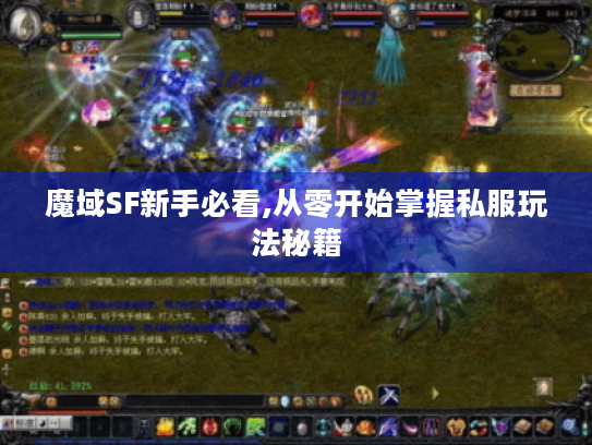 魔域SF新手必看,从零开始掌握私服玩法秘籍 魔域SF新手必看,从零开始掌握私服玩法秘籍