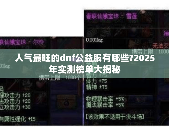 人气最旺的dnf公益服有哪些?2025年实测榜单大揭秘 人气最旺的dnf公益服有哪些?2025年实测榜单大揭秘
