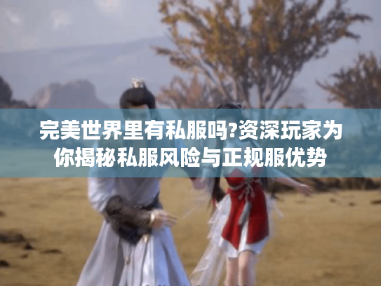 完美世界里有私服吗?资深玩家为你揭秘私服风险与正规服优势 完美世界里有私服吗?资深玩家为你揭秘私服风险与正规服优势