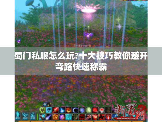 蜀门私服怎么玩?十大技巧教你避开弯路快速称霸 蜀门私服怎么玩?十大技巧教你避开弯路快速称霸