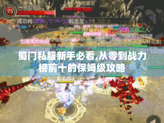 蜀门私服新手必看,从零到战力榜前十的保姆级攻略 蜀门私服新手必看,从零到战力榜前十的保姆级攻略