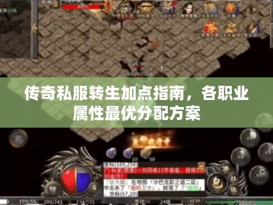 传奇私服转生加点指南,各职业属性最优分配方案 传奇私服转生加点指南,各职业属性最优分配方案