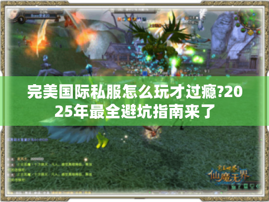 完美国际私服怎么玩才过瘾?2025年最全避坑指南来了 完美国际私服怎么玩才过瘾?2025年最全避坑指南来了