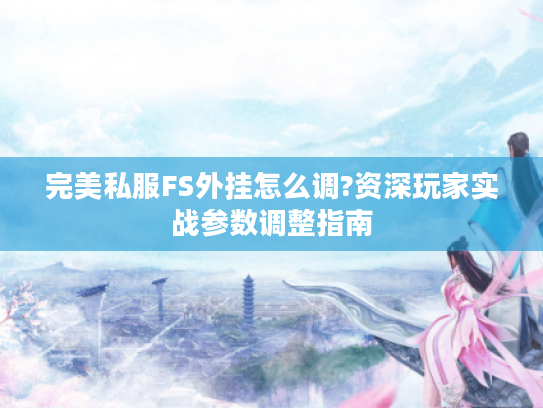 完美私服FS外挂怎么调?资深玩家实战参数调整指南