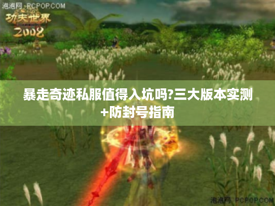 暴走奇迹私服值得入坑吗?三大版本实测+防封号指南 暴走奇迹私服值得入坑吗?三大版本实测+防封号指南