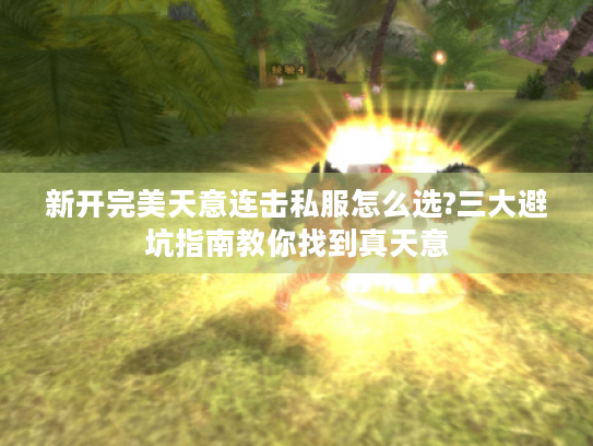 新开完美天意连击私服怎么选?三大避坑指南教你找到真天意 新开完美天意连击私服怎么选?三大避坑指南教你找到真天意