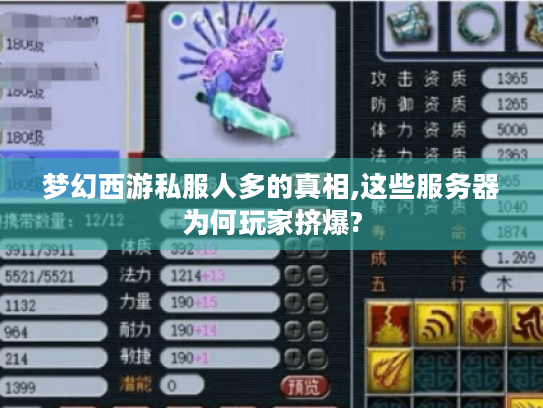 梦幻西游私服人多的真相,这些服务器为何玩家挤爆? 梦幻西游私服人多的真相,这些服务器为何玩家挤爆?